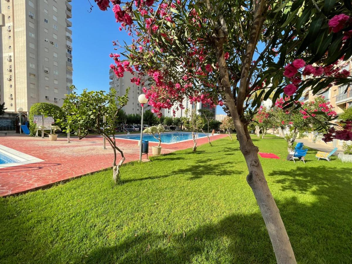 Beach Studio Apartment , Hanibal. La Cala Finestrat Benidorm Esterno foto